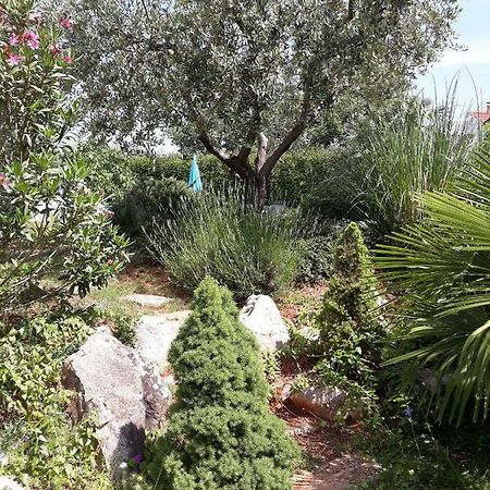 Ana Marija Apartments Πόρετς Εξωτερικό φωτογραφία