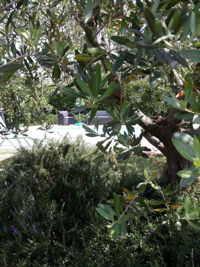Ana Marija Apartments Πόρετς Εξωτερικό φωτογραφία