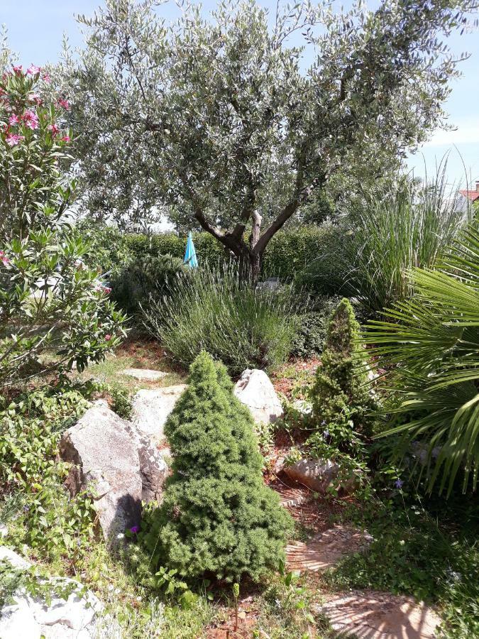 Ana Marija Apartments Πόρετς Εξωτερικό φωτογραφία